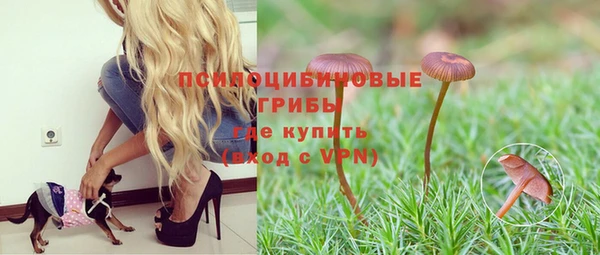 стаф Балабаново