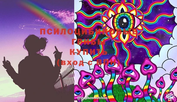 стаф Балабаново