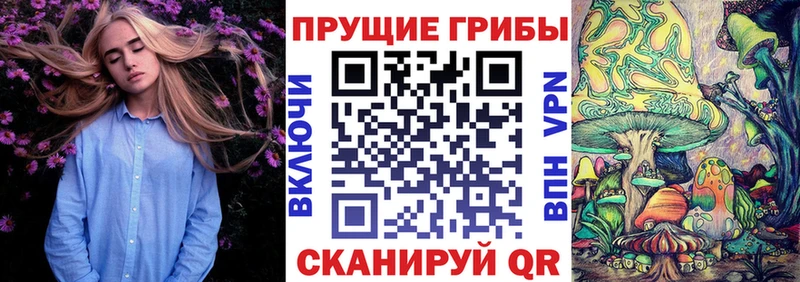 Псилоцибиновые грибы Psilocybe  KRAKEN tor  Среднеуральск 